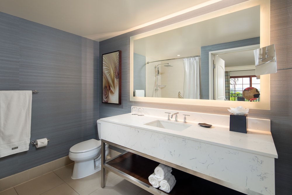Westin Carlsbad Resort & Spa - photo 30