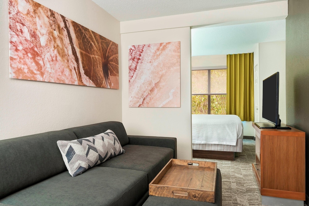 SpringHill Suites by Marriott Asheville - photo 11