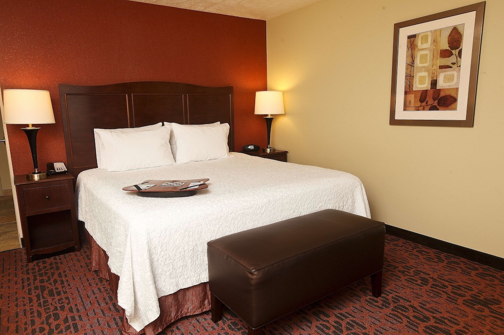 Hampton Inn & Suites by Hilton Fargo Medical Center - photo 7