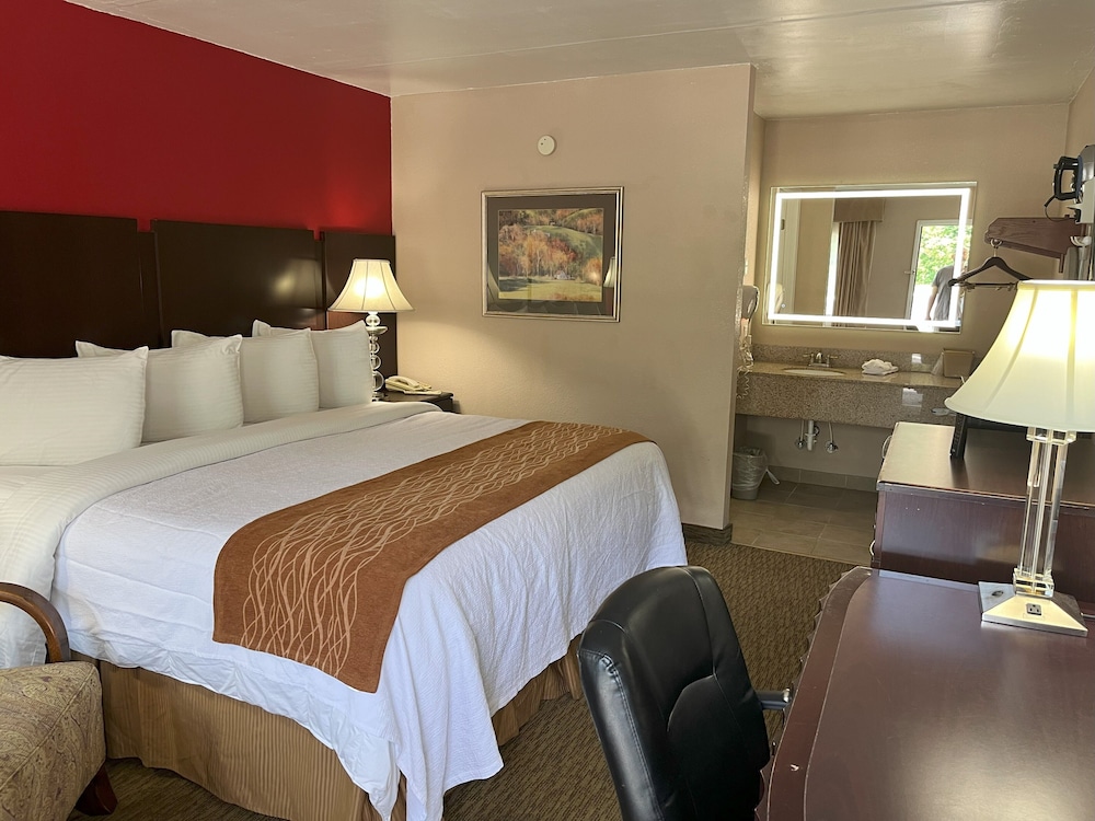 Pine Tree Inn - photo 15