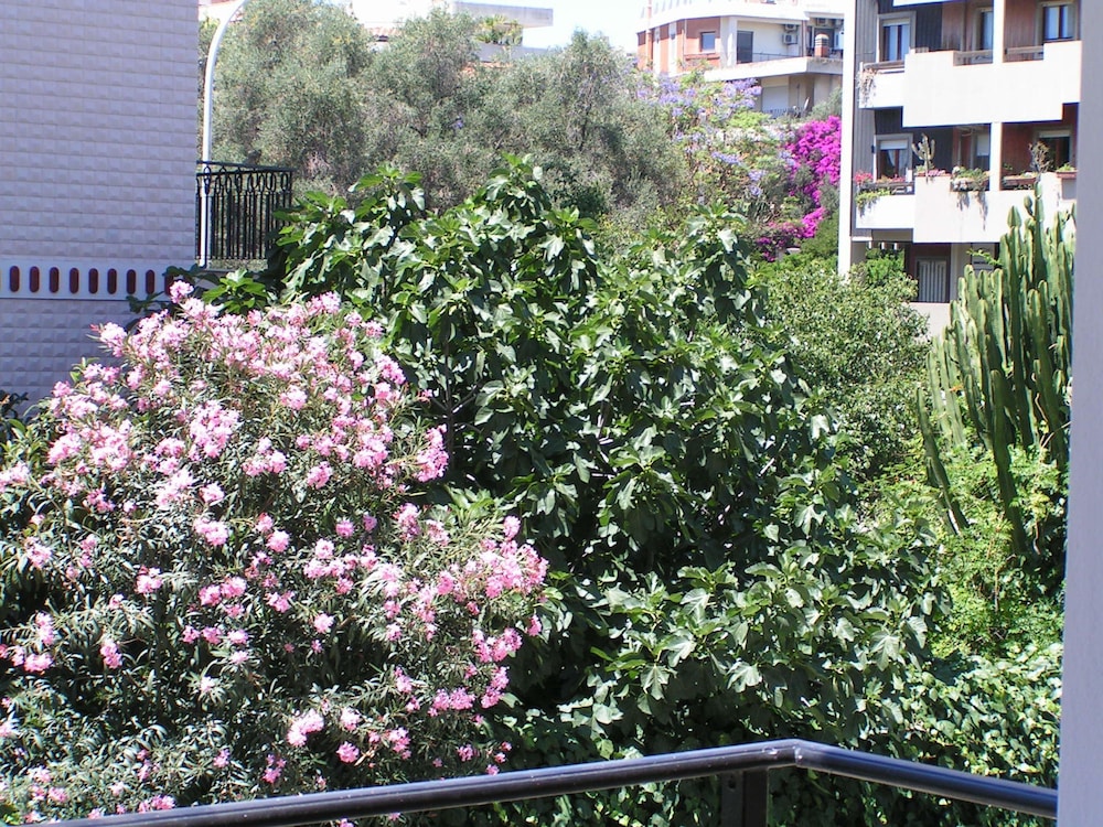 Anania — Cagliari — photo 2