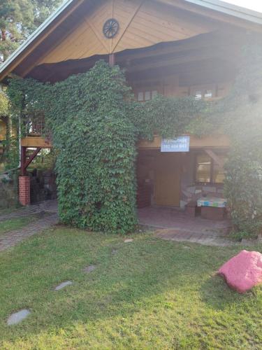 Domek Letniskowy Chatka — hotel in Dabrowno