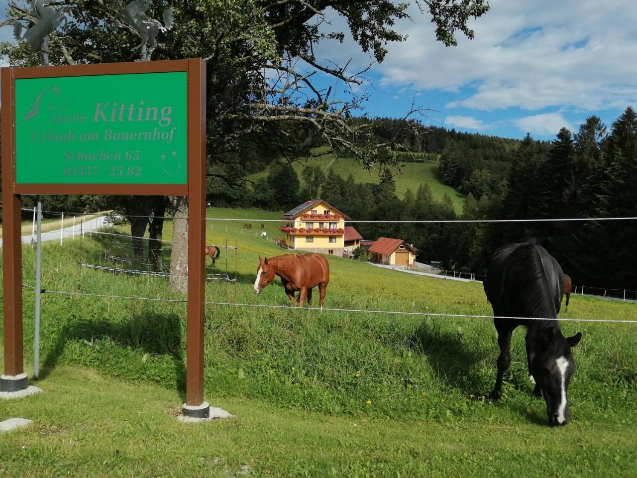 Urlaub Am Bauernhof Familie Kitting — Vorau