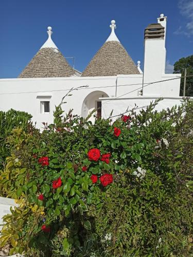 Trullo in piena valle d’itria del 1800 in Cisternino, Italy