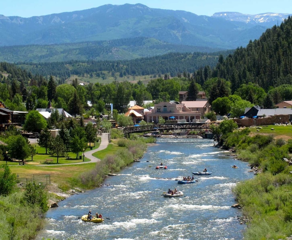The Springs Resort & Spa - photo 37