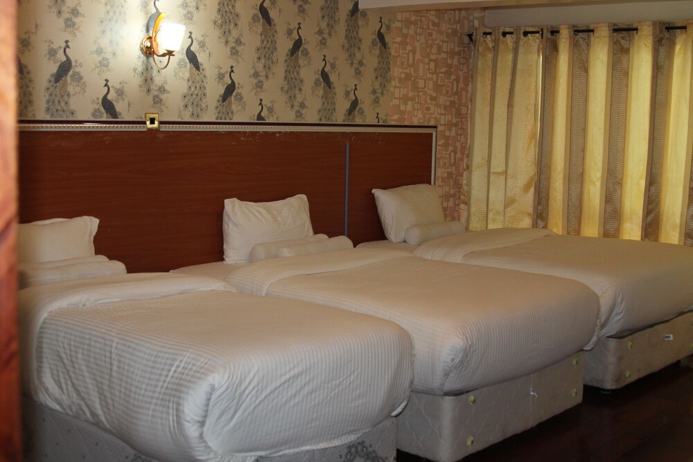 Misty Mountain Lodge — Naro Moru — photo 3