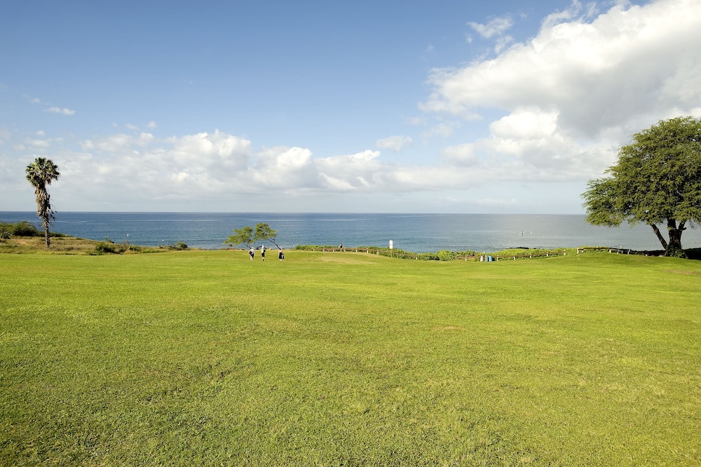 CRH Hale Kamaole - photo 46