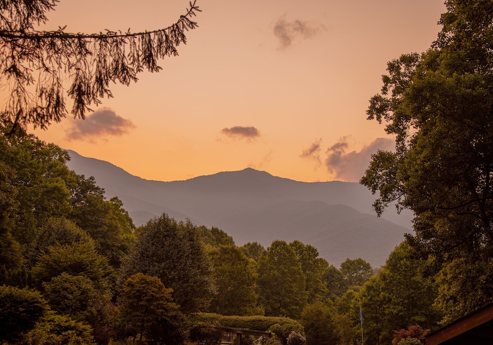 Mount Mitchell Eco Retreat - photo 61