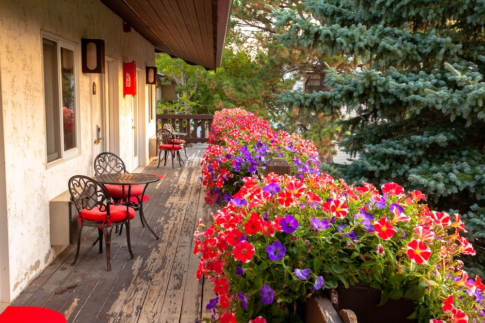 Bavarian Inn Black Hills - photo 83