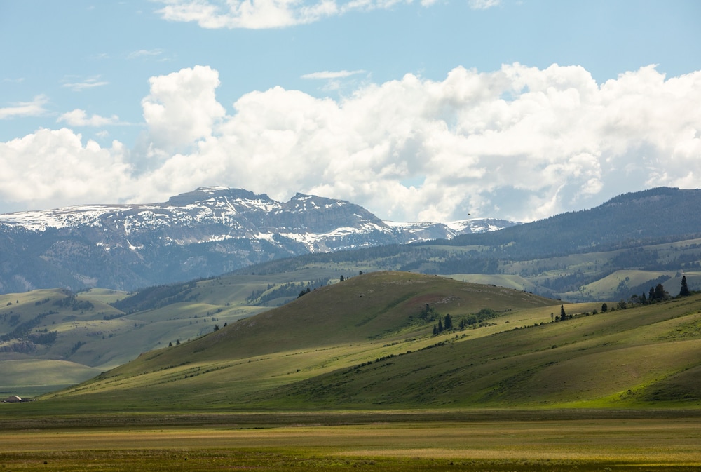 Flat Creek Inn - photo 41