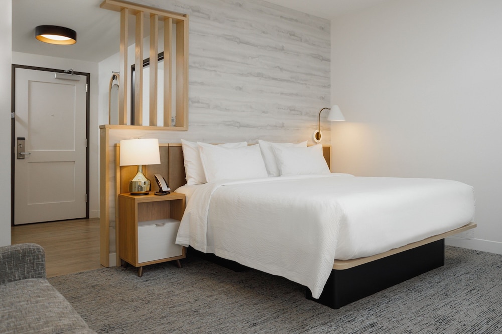 TownePlace Suites by Marriott Chattanooga South East Ridge - photo 14