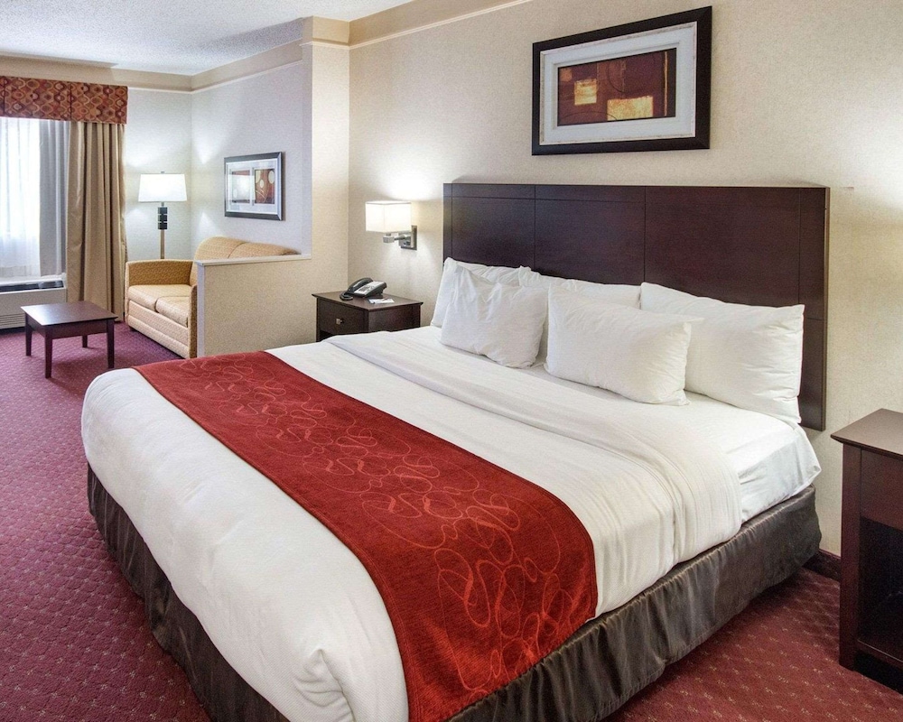 Comfort Suites Parkersburg South - photo 15