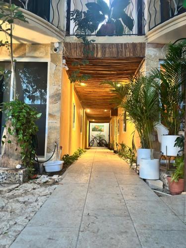 Casa Playita PDC — 4-Star Luxury Hotel in Playa Del Carmen, Mexico