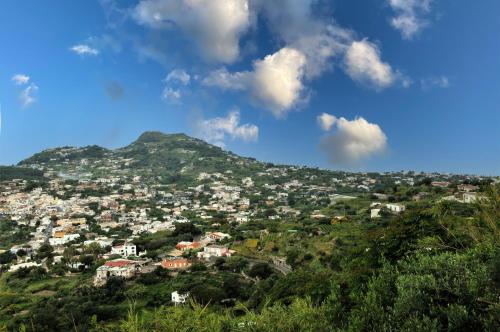 Villa Gesualda — 4-Star Luxury Hotel in Ischia, Italy