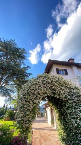 Villa Casavecchia Caselli — Dicomano — photo 3