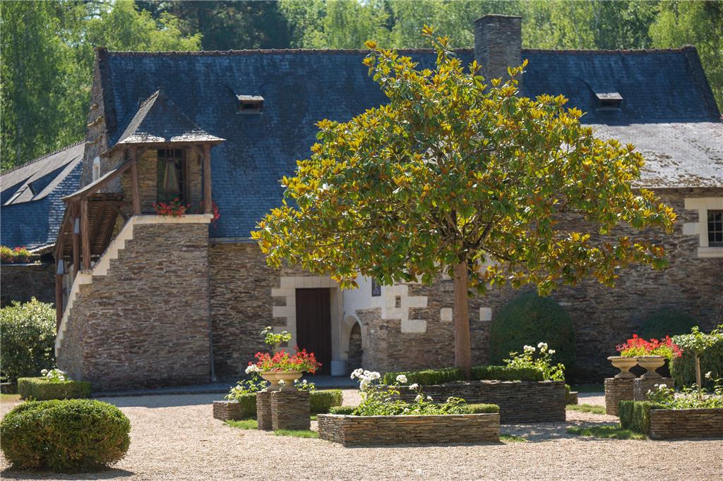 Loire & Sens — Angers — photo 2