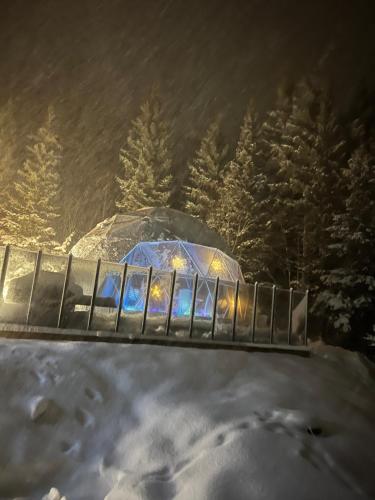 Evenes Artic glamping — hotel near Harstad/Narvik Airport