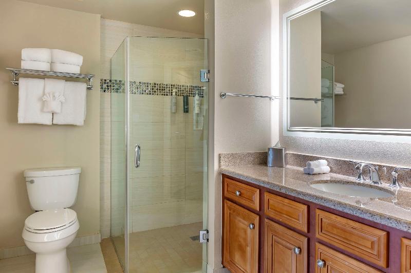 Hilton Grand Vacations Club SeaWorld Orlando - photo 85