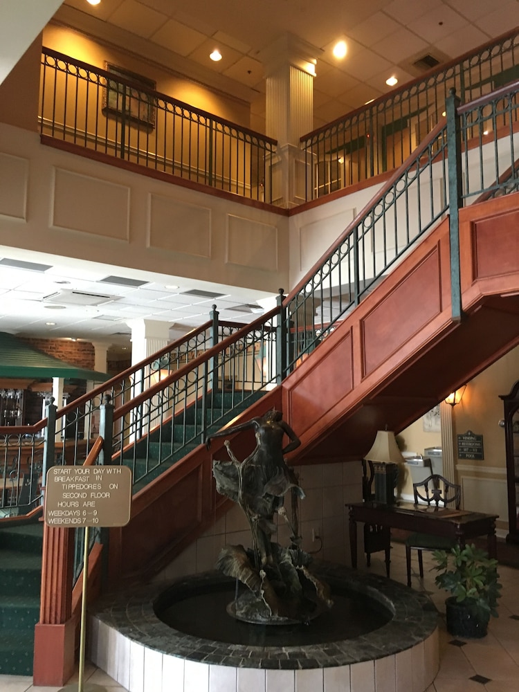 French Quarter Inn - photo 35