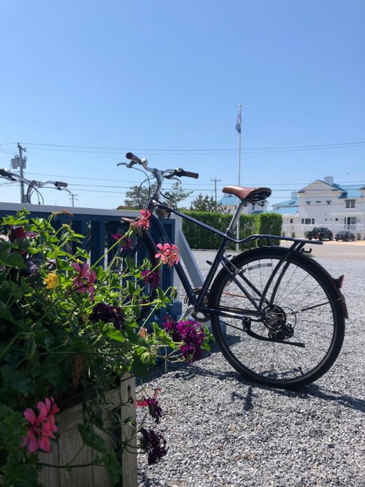 Haven Montauk - photo 45