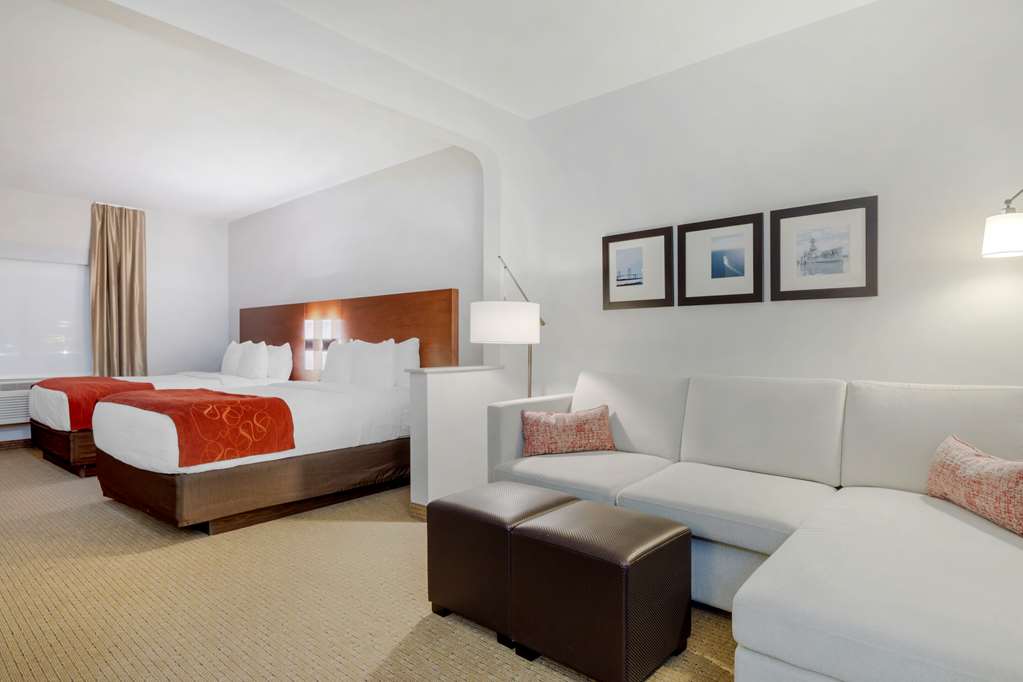 Comfort Suites La Porte Baytown - photo 28