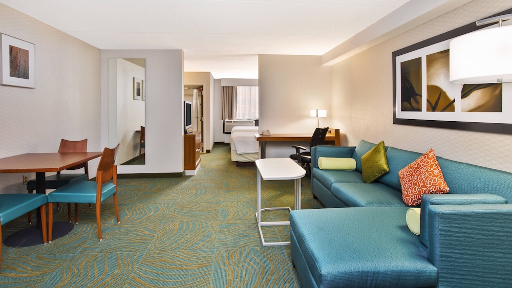 Springhill Suites by Marriott Chicago Elmhurst Oakbrook Area - photo 6