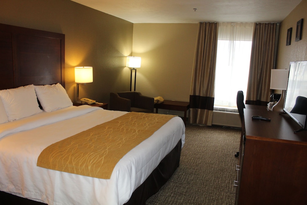 Bristol Arcadia Inn - photo 18
