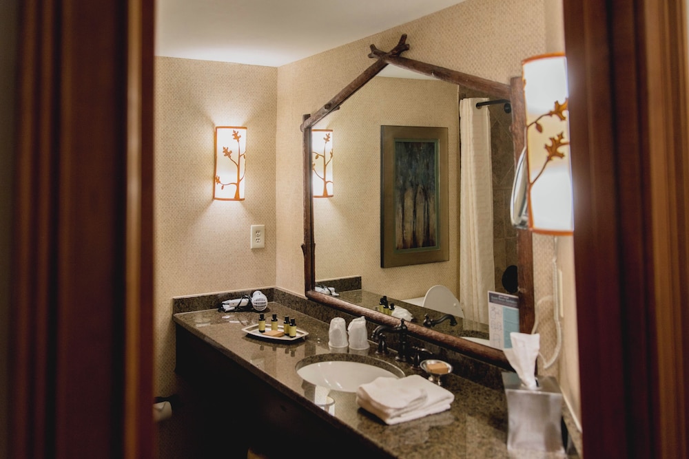 Lanier Islands Legacy Lodge - photo 32