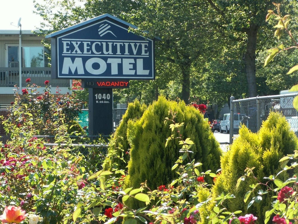 Executive Motel - photo 15