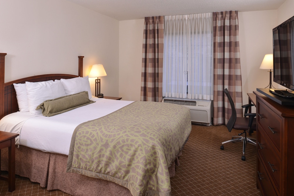 Staybridge Suites Indianapolis Airport by IHG - photo 16