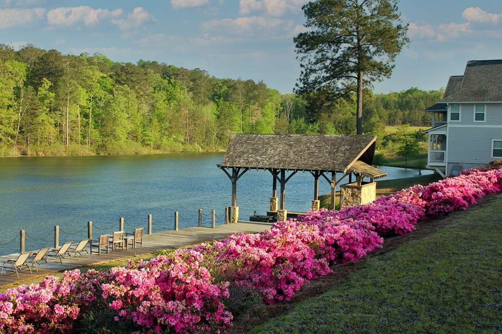 Foxhall Resort - photo 8