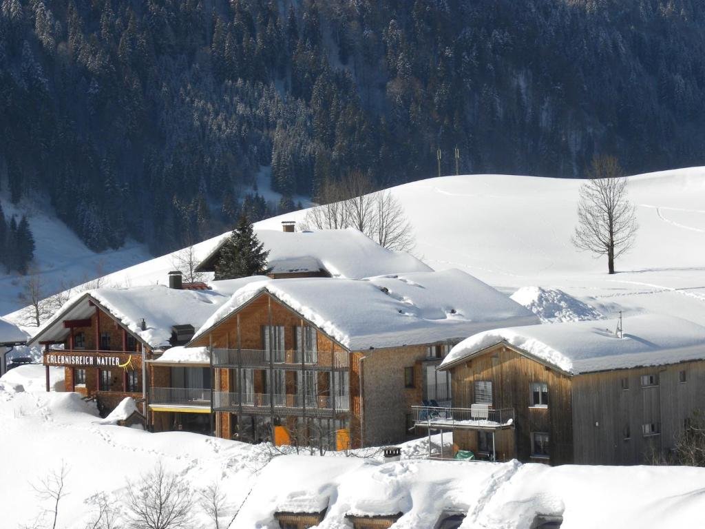 n Apartments Hotel in Schoppernau, Austria