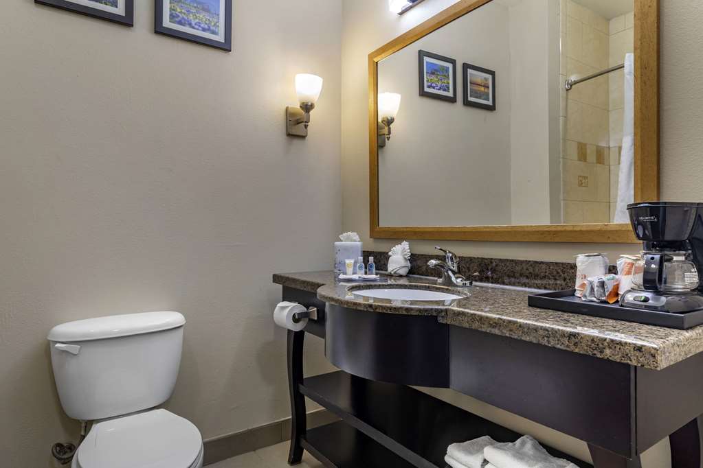 Comfort Suites Plano Dallas North - photo 18