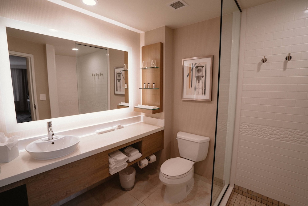 Delta Hotels by Marriott Raleigh Durham at Research Triangle Park - photo 21