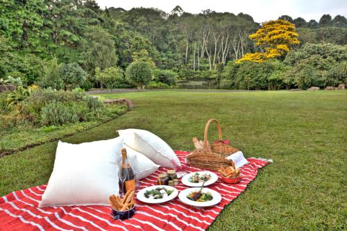 Makaranga Garden Lodge — 5-Star Luxury Hotel in Durban, South Africa