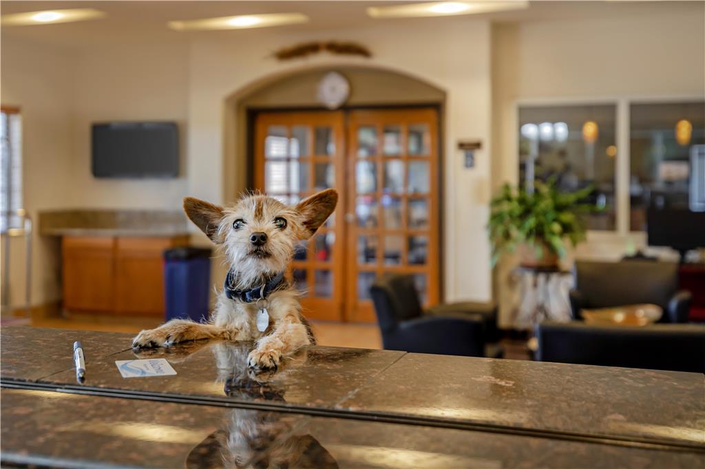 Best Western Firestone Inn & Suites - photo 39