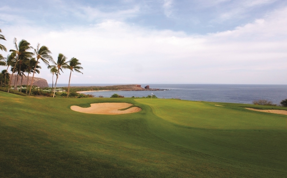 Four Seasons Resort Lanai - photo 86