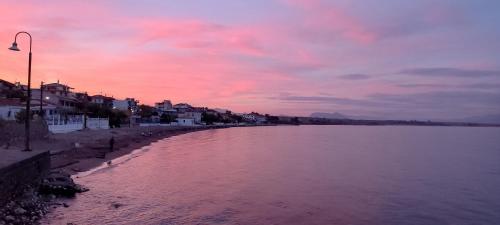 Tropical Beach Orion — Rizomylos — photo 4