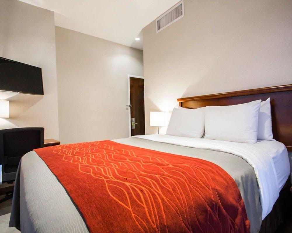 Comfort Inn Manhattan Bridge - photo 11