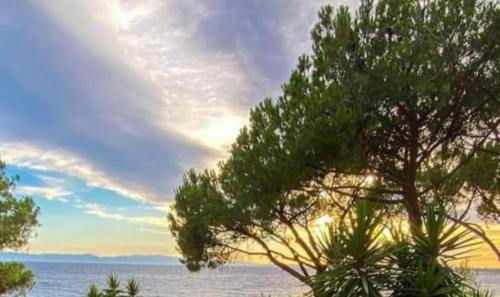 Sun Sea house — 4-Star Luxury Hotel in Cagliari, Italy