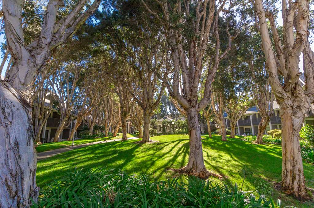 Carlsbad By The Sea Hotel - photo 15