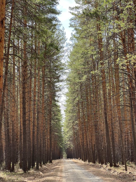 Vostok Hotel in Unknown City, Russia