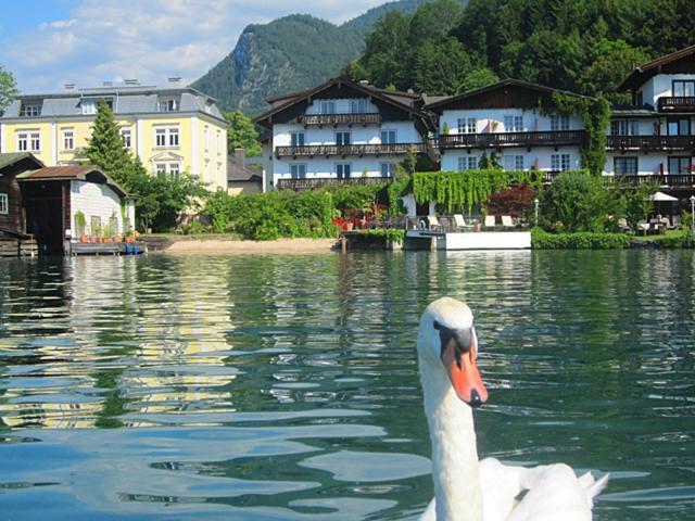 Seerose — hotel in Sankt Wolfgang Im Salzkammergut