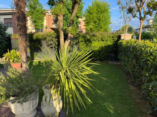Da Alice — Montale — photo 5