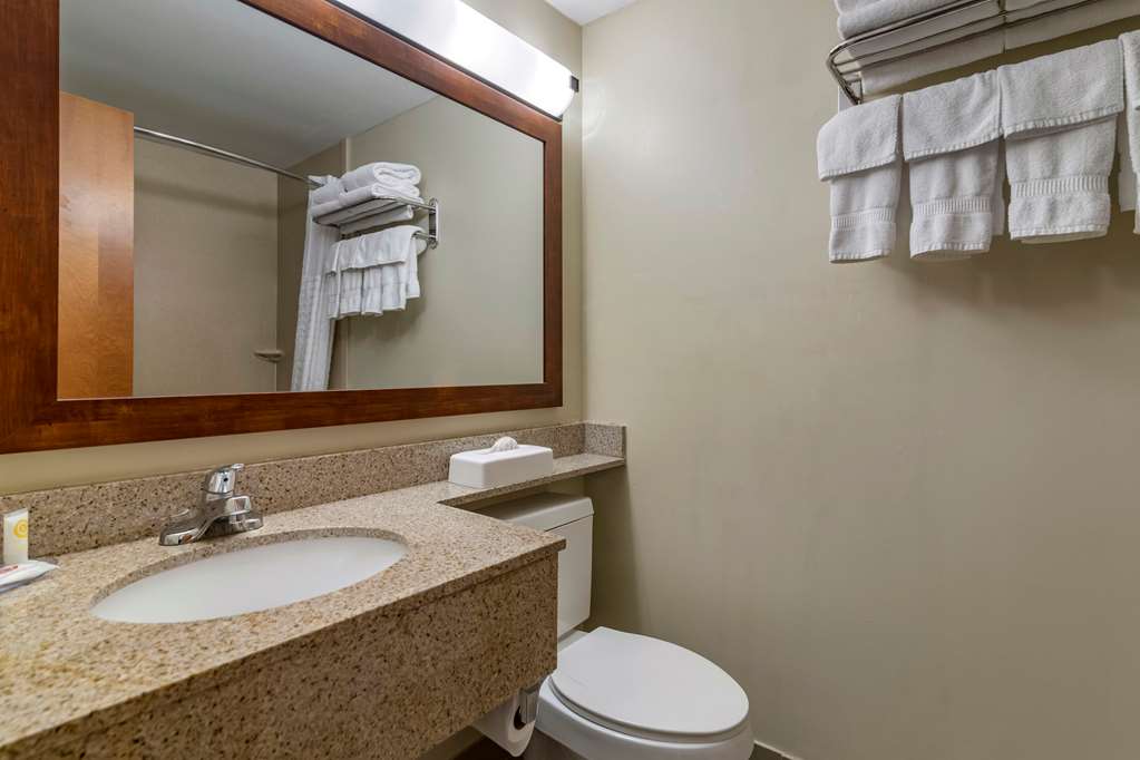 Comfort Inn Glenmont Albany South - photo 12