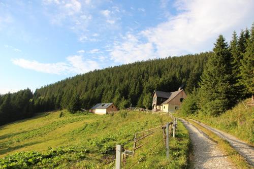 Idyllische Almhütte am Gaberl pet-friendly hotel Kleinlobming