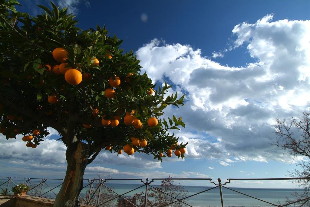 Casa Pazzi — 4-Star Luxury Hotel in Grottammare, Italy