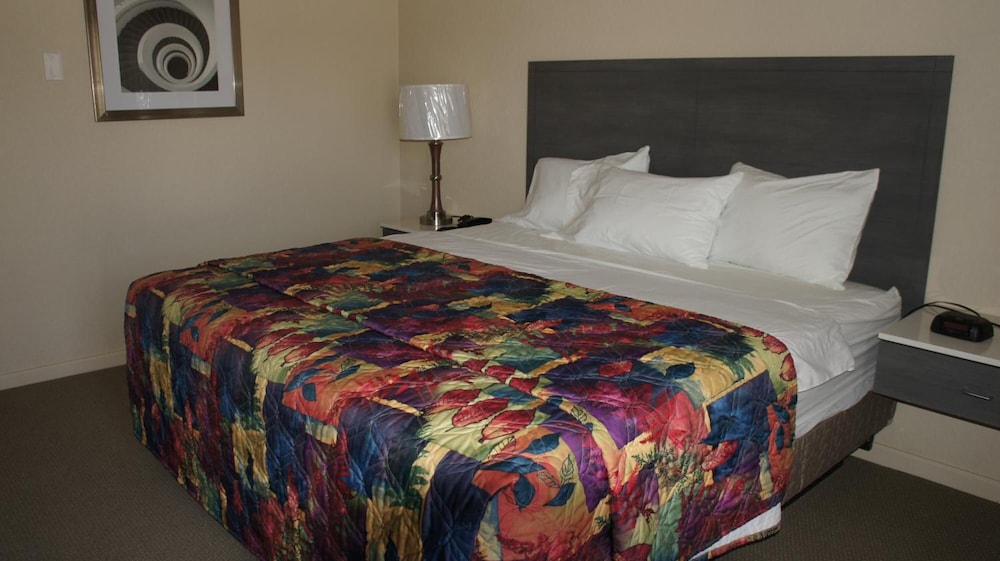Apple Valley Hotel & Lodge - photo 10