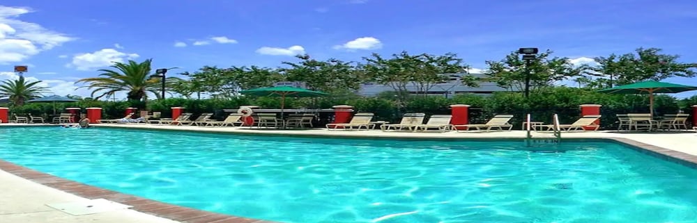 SpringHill Suites by Marriott Tampa Westshore Airport - photo 23