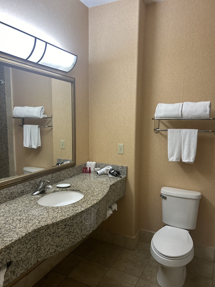 Holiday Inn Express Las Vegas Nellis by IHG - photo 16